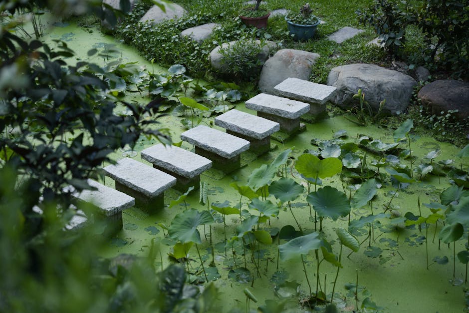 不登校からの回復を象徴する石段と自然の風景