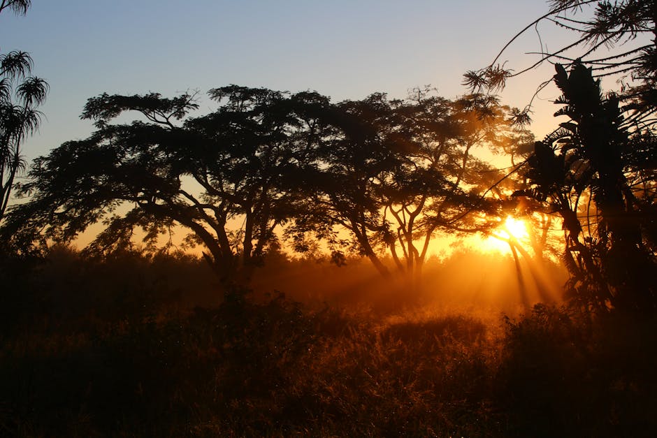 不登校の回復段階で見える希望の光