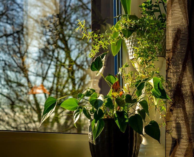 柔らかい陽光と観葉植物、ZEPアバターで心がつながる静かな時間