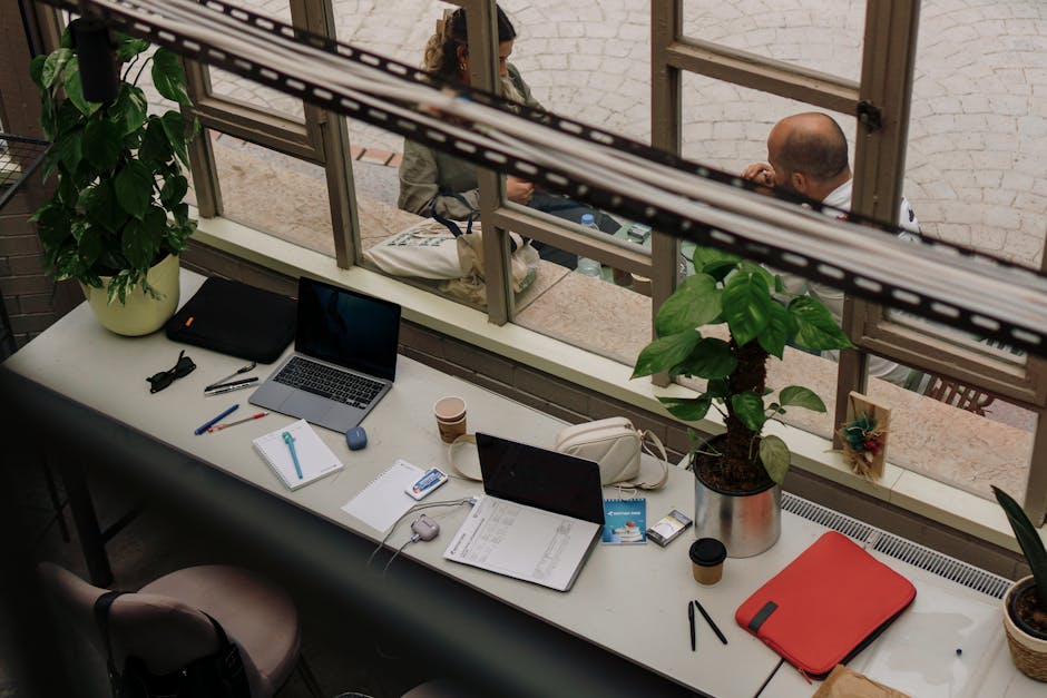 ノートパソコンと観葉植物のあるデスク、ZEPを不登校支援に活かす準備の風景