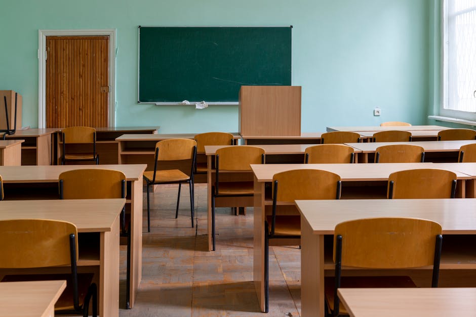 木の机が並ぶ静かな教室、ZEPを不登校支援に活かす学びの場のイメージ